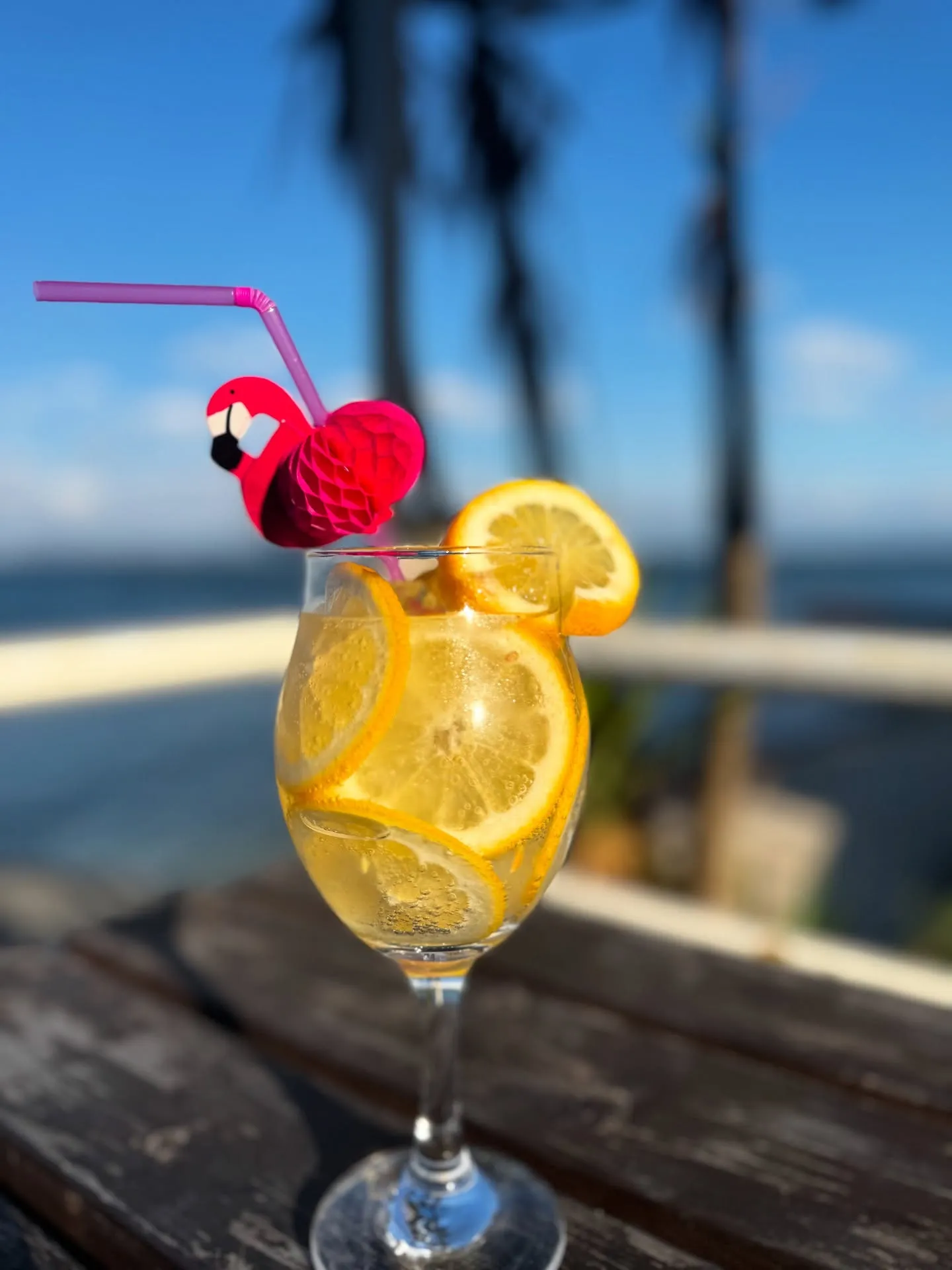 夏がすぐそこまで来てるね！🌞✨ということは、琵琶湖の季節もや...
